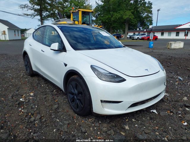2024 TESLA MODEL Y 7SAYGDEE8RF161465