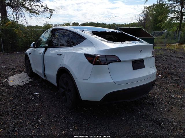 2024 TESLA MODEL Y 7SAYGDEE8RF161465 Photo 2