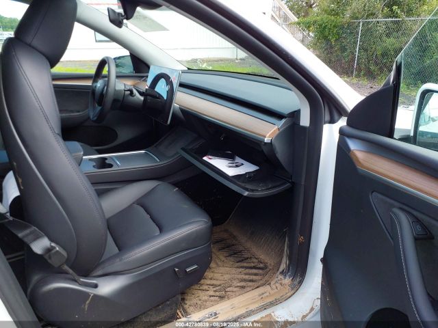2024 TESLA MODEL Y 7SAYGDEE8RF161465 Photo 4
