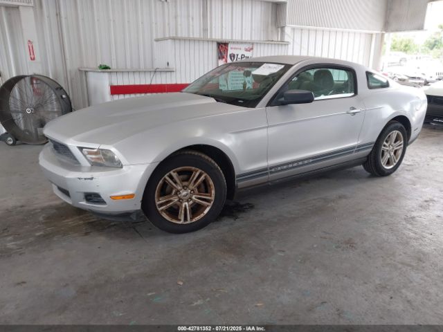 2010 FORD MUSTANG 1ZVBP8AN0A5181714 Photo 1