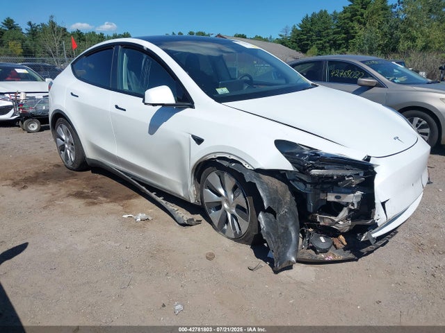 2023 TESLA MODEL Y 7SAYGDEEXPA103397 Photo 0