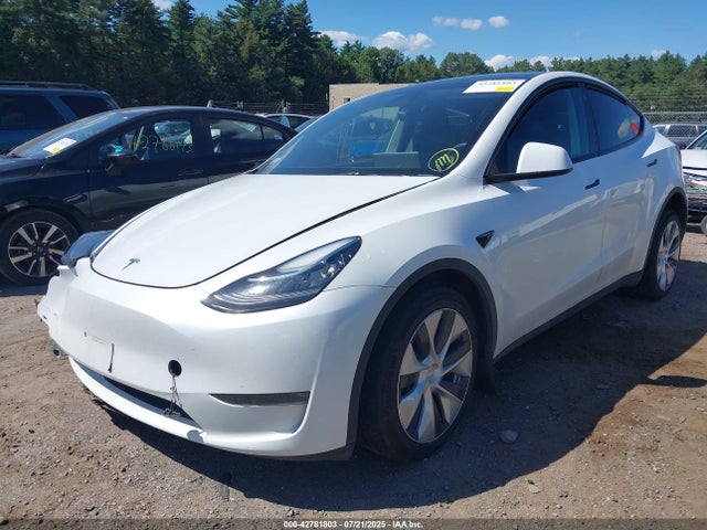 2023 TESLA MODEL Y 7SAYGDEEXPA103397 Photo 1