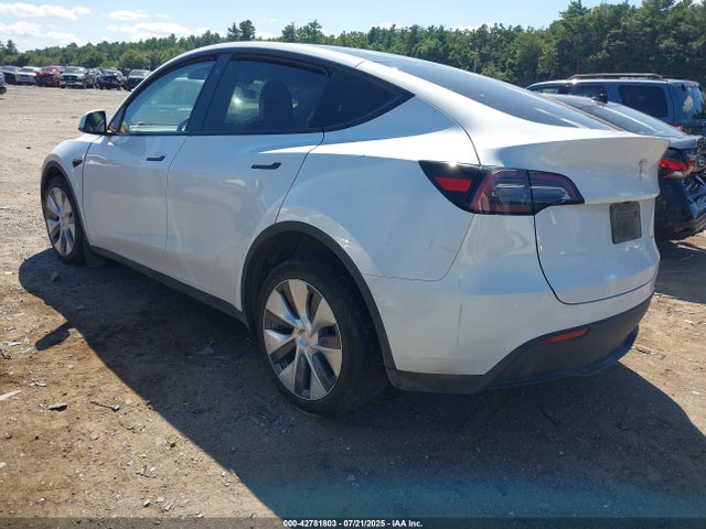 2023 TESLA MODEL Y 7SAYGDEEXPA103397 Photo 2