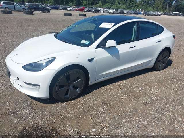 2021 TESLA MODEL 3 5YJ3E1EA0MF085614 Photo 1