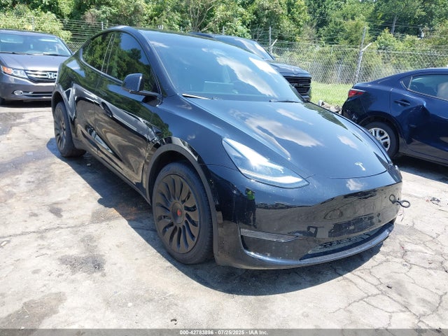 2024 TESLA MODEL Y 7SAYGDEE1RA241395 Photo 0