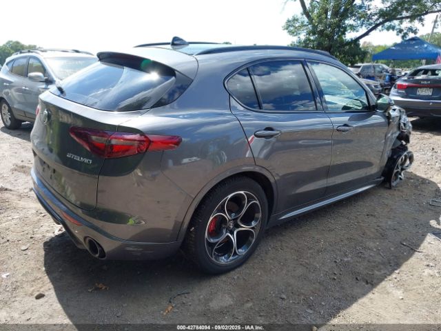 2023 ALFA ROMEO STELVIO ZASPAKBN1P7D65070 Photo 3