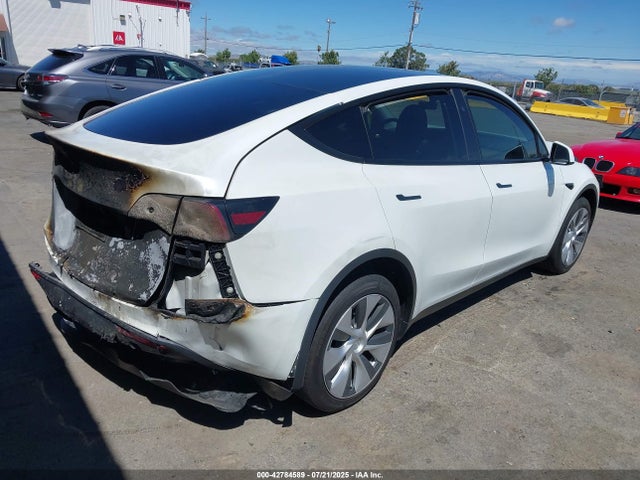 2024 TESLA MODEL Y 7SAYGDEE0RF056824 Photo 3