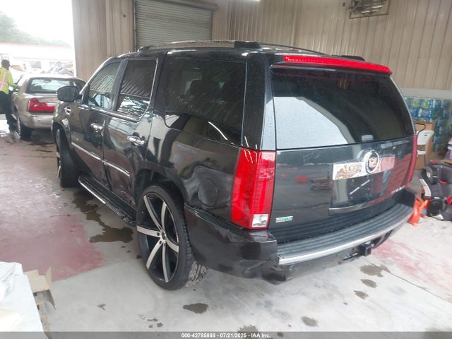 2010 CADILLAC ESCALADE 1GYUKCEF2AR242516 Photo 2