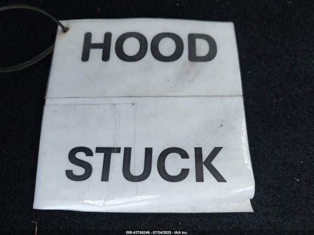 2023 TESLA MODEL Y 7SAYGDEE4PF878569 Photo 9