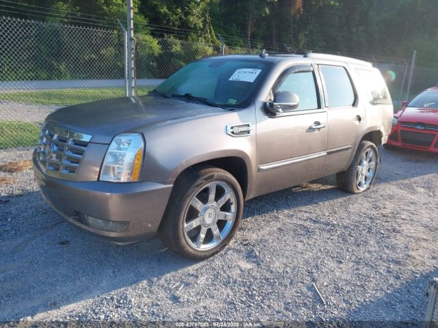 2011 CADILLAC ESCALADE HYBRID 1GYS4EEJ0BR152638 Photo 1