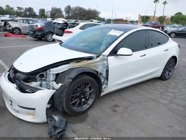 2021 TESLA MODEL 3 5YJ3E1EA1MF054324 Photo 1