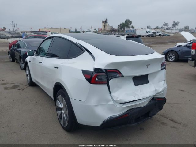 2023 TESLA MODEL Y 7SAYGDEE2PF623287 Photo 2