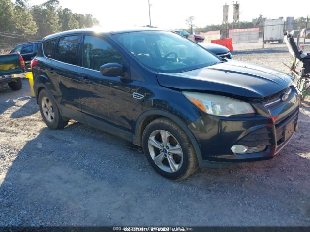2014 FORD ESCAPE 1FMCU0GXXEUB59608