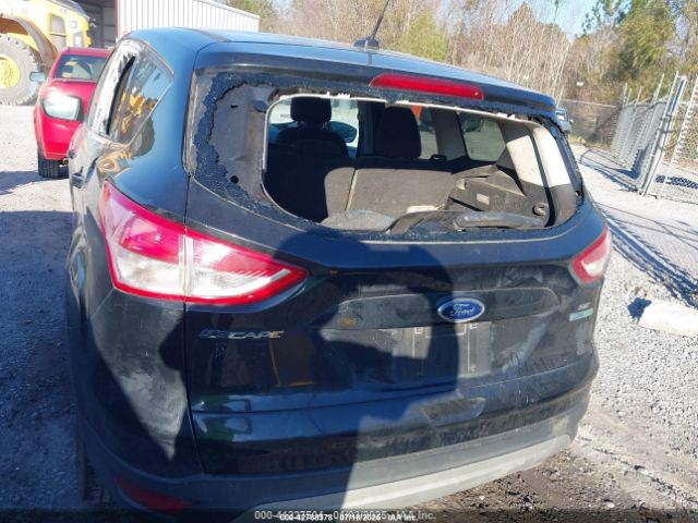 2014 FORD ESCAPE 1FMCU0GXXEUB59608 Photo 5