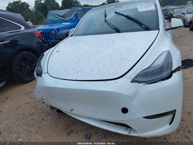 Tesla Model Y 2023 7SAYGDEE6PF760264 Image 12