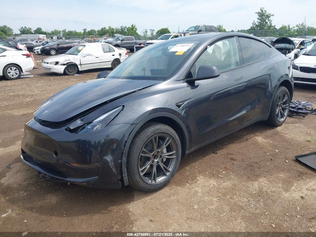 Tesla 2025 2025 7SAYGDED0SF227875 Image 2