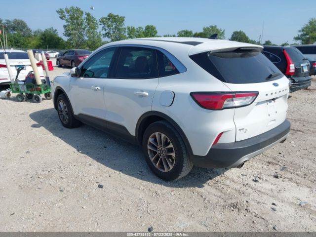 2020 FORD ESCAPE 1FMCU9G64LUC78229 Photo 2