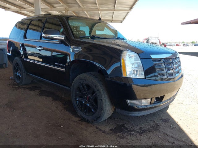 2010 CADILLAC ESCALADE 1GYUKCEF6AR218364 Photo 0