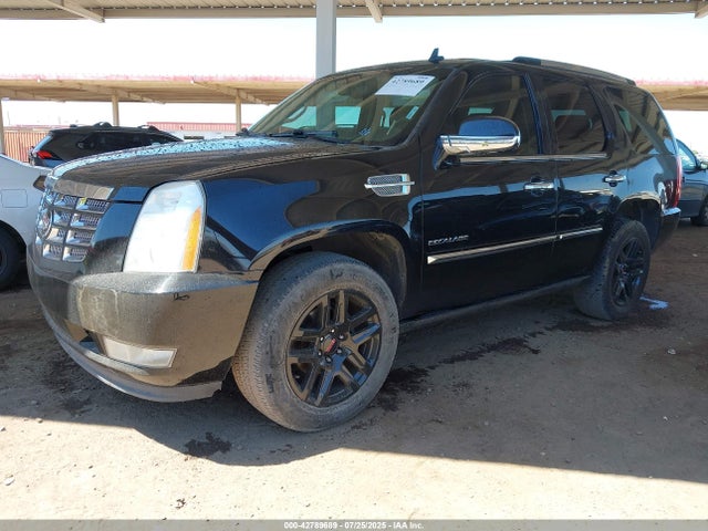 2010 CADILLAC ESCALADE 1GYUKCEF6AR218364 Photo 1
