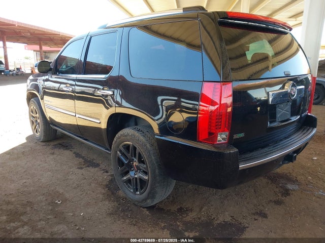 2010 CADILLAC ESCALADE 1GYUKCEF6AR218364 Photo 2