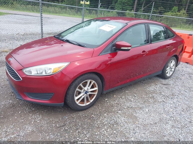Ford 2016 2016 1FADP3F27GL241382 Image 2
