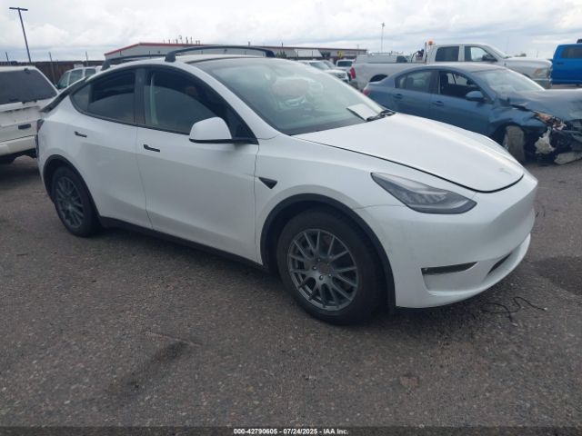 2021 TESLA MODEL Y 5YJYGAEE9MF183382 Photo 0