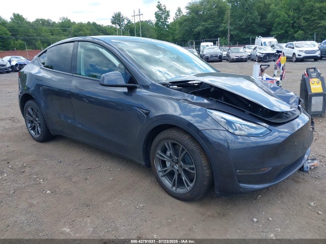 7SAYGDEE3SA361379 Tesla 2025