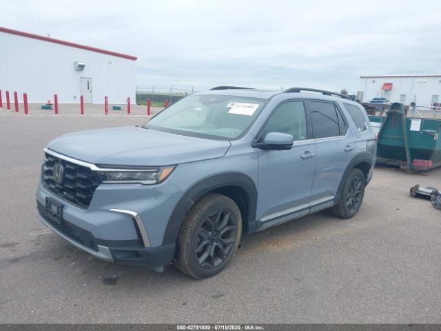 2023 HONDA PILOT 5FNYG1H82PB034130 Photo 1