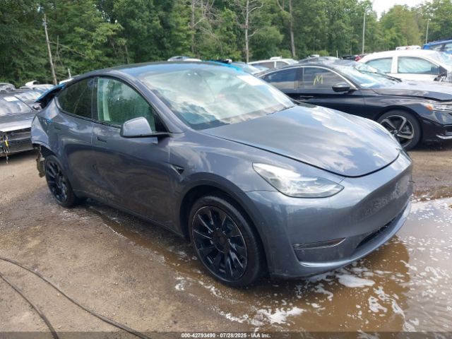2023 TESLA MODEL Y 7SAYGDEEXPF697167 Photo 0