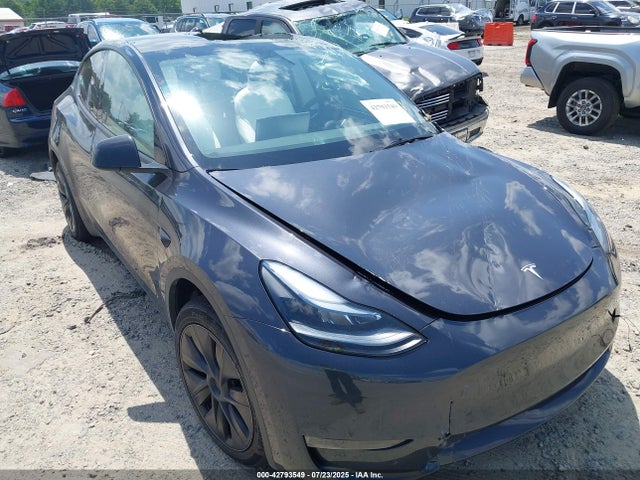 Tesla 2024 2024 7SAYGAEE8RF159312 Image 6