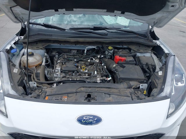 1FMCU0G64MUA41835 Ford dragon di tc