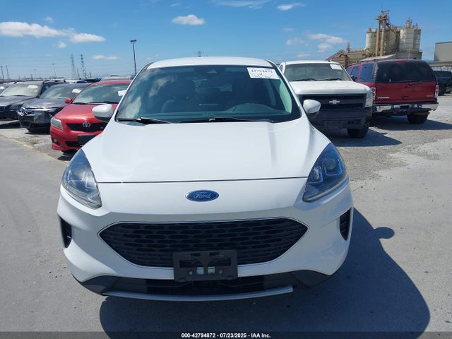1FMCU0G64MUA41835 Ford dragon di tc