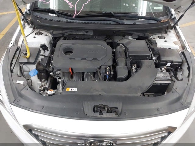 5NPE24AF0HH495891 Hyundai 2017