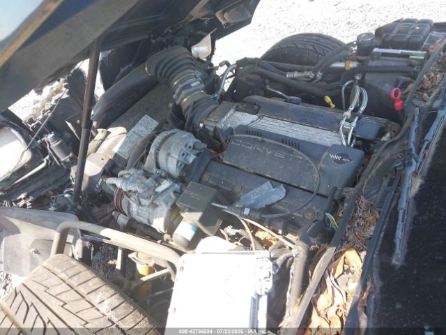 1996 CHEVROLET CORVETTE 1G1YY22P7T5113994 Photo 9