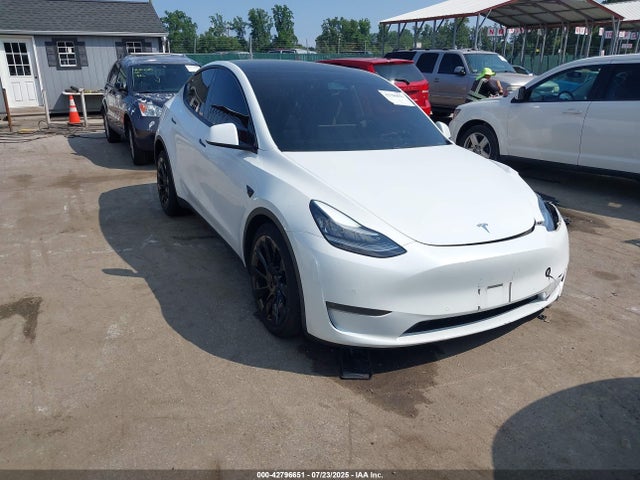 2021 TESLA MODEL Y 5YJYGDEE3MF087815 Photo 0