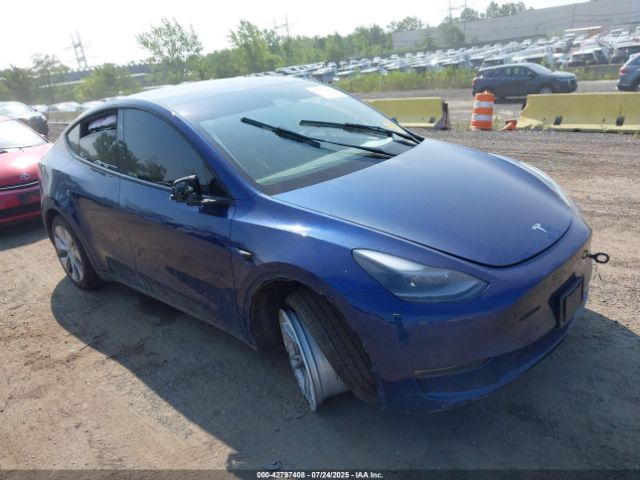 2023 TESLA MODEL Y 7SAYGDEE7PA172208 Photo 0