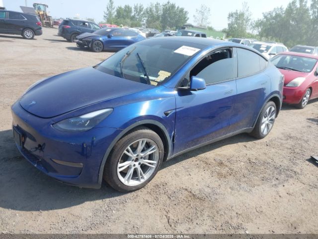 2023 TESLA MODEL Y 7SAYGDEE7PA172208 Photo 1