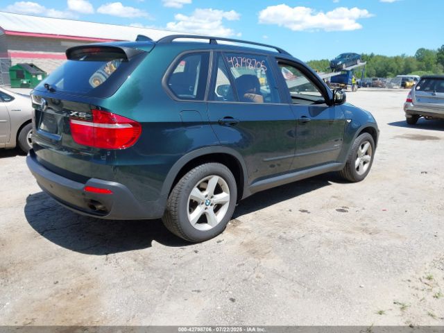 2009 BMW X5 5UXFE43569L269933 Photo 3
