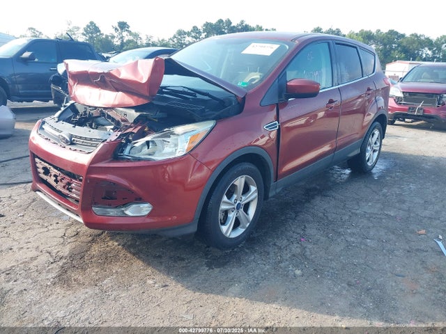 1FMCU0GX8FUA21342 Ford Escape