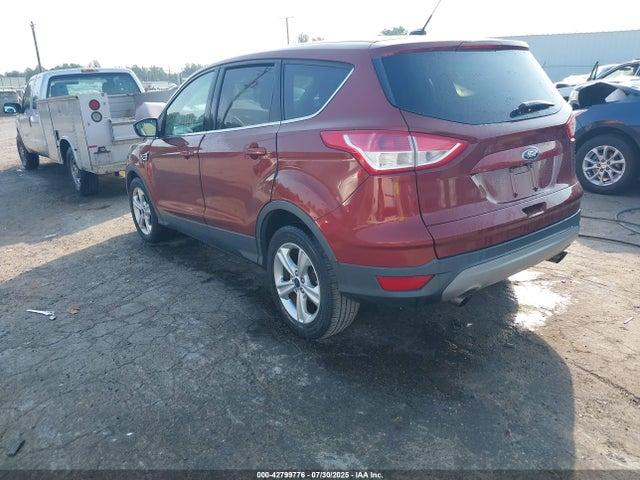 1FMCU0GX8FUA21342 Ford Escape