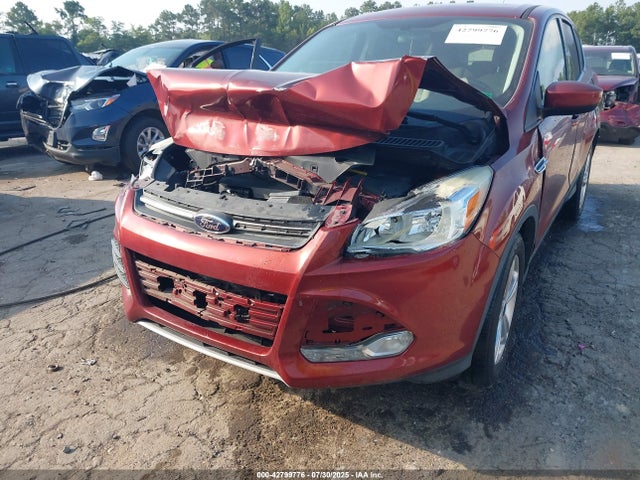 1FMCU0GX8FUA21342 Ford Escape