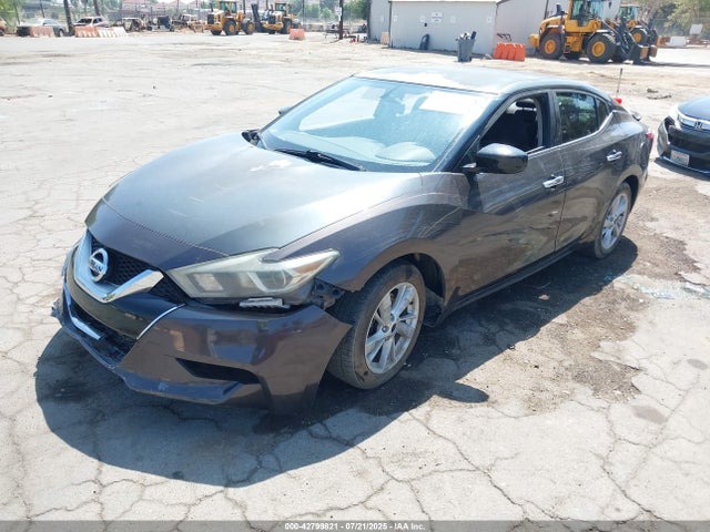 1N4AA6AP2GC388749 Nissan Maxima