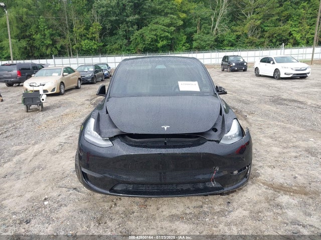 Tesla 2020 2020 5YJYGDEE2LF027796 Image 12