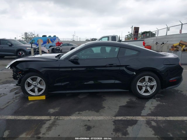 Ford 2020 2020 1FA6P8TH6L5189739 Image 14