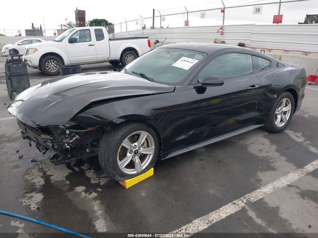 Ford 2020 2020 1FA6P8TH6L5189739 Image 2