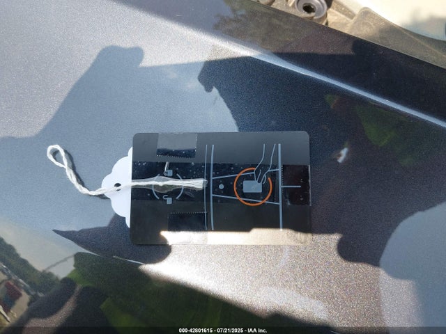 2025 TESLA MODEL 3 5YJ3E1EB5SF012924 Photo 10