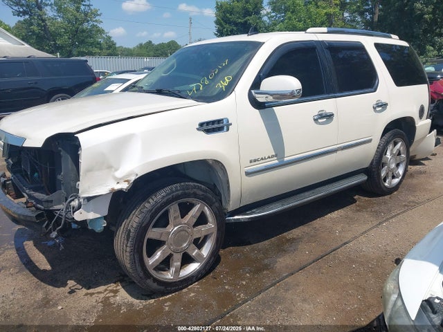 2007 CADILLAC ESCALADE 1GYFK63857R328989 Photo 1