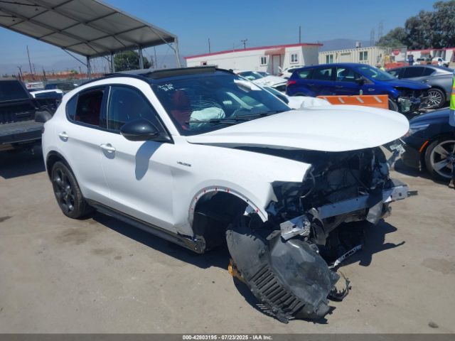 2024 ALFA ROMEO STELVIO ZASPAKBN8R7D70351