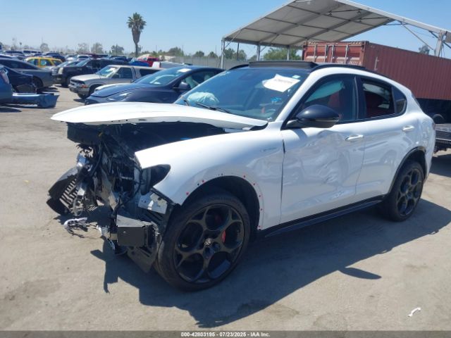 2024 ALFA ROMEO STELVIO ZASPAKBN8R7D70351 Photo 1