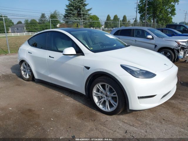 2023 TESLA MODEL Y 7SAYGDEE0PF674299 Photo 0
